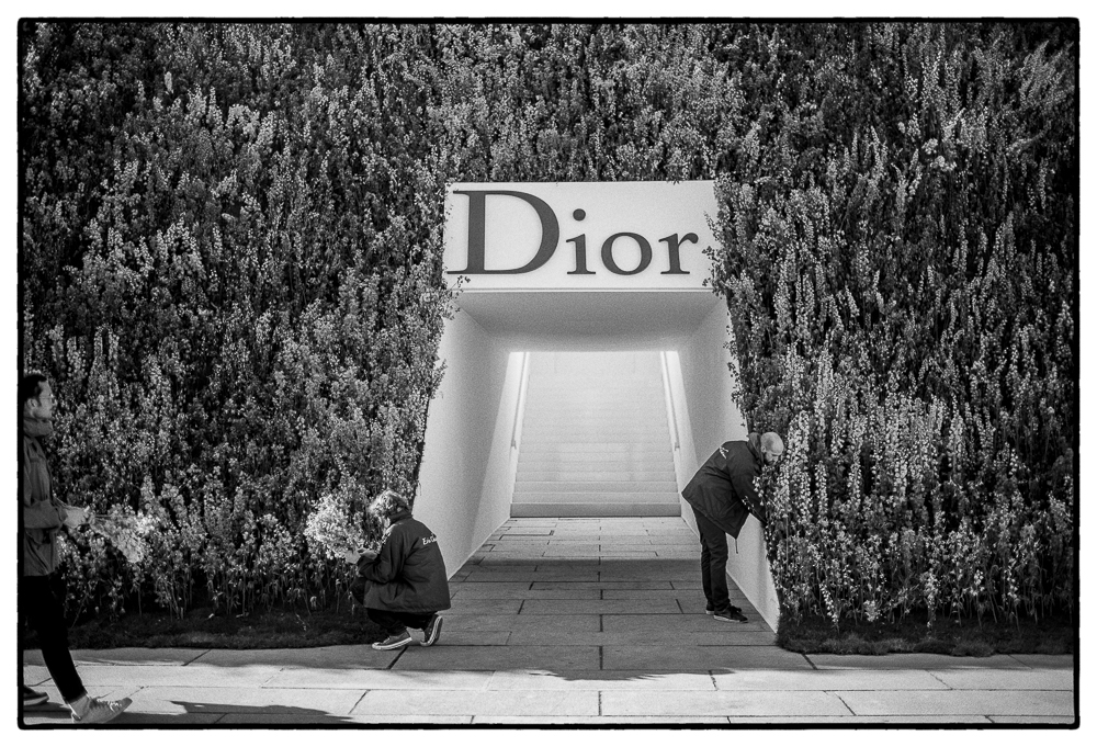 DIOR SS16 PFW