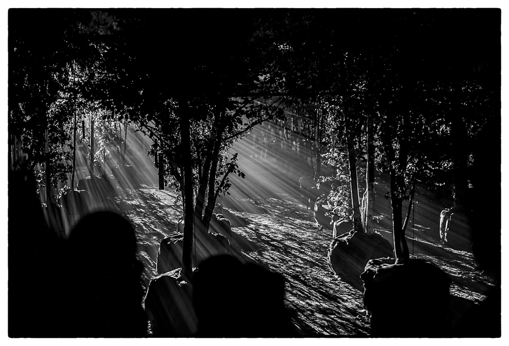 DIOR SS20 PFW