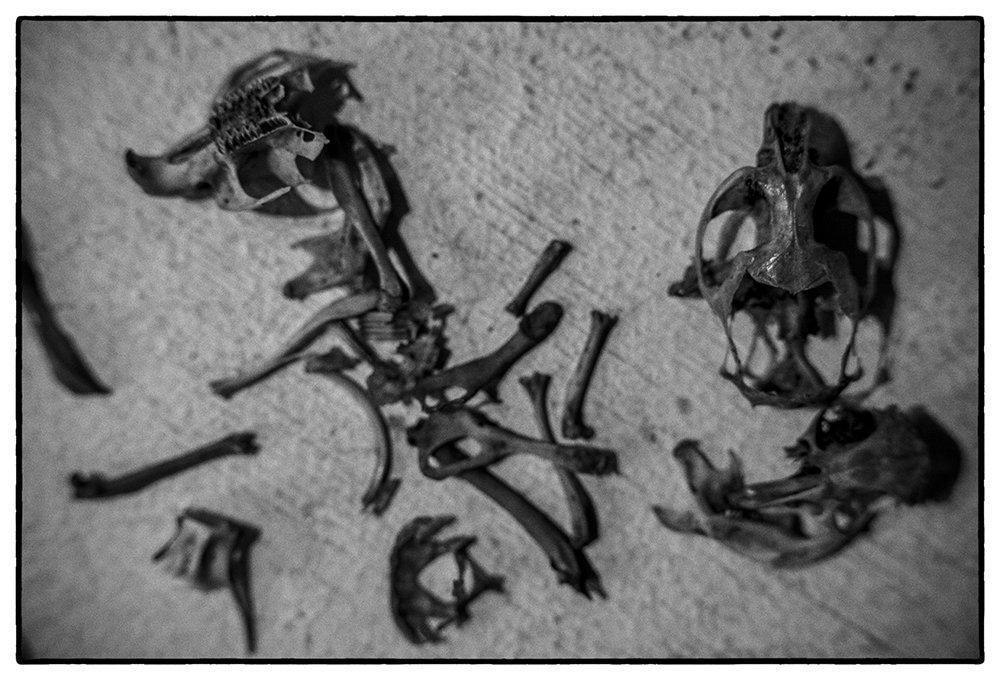 RACHEL ENTWISTLE A JEWELLERY DESIGNER