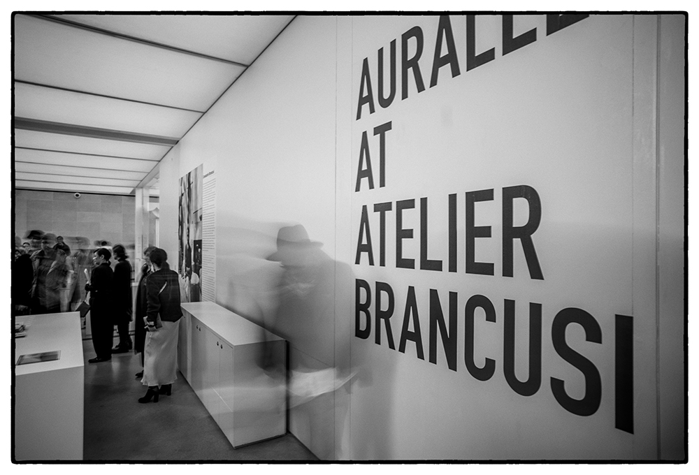 AURALEE FW19 PFW